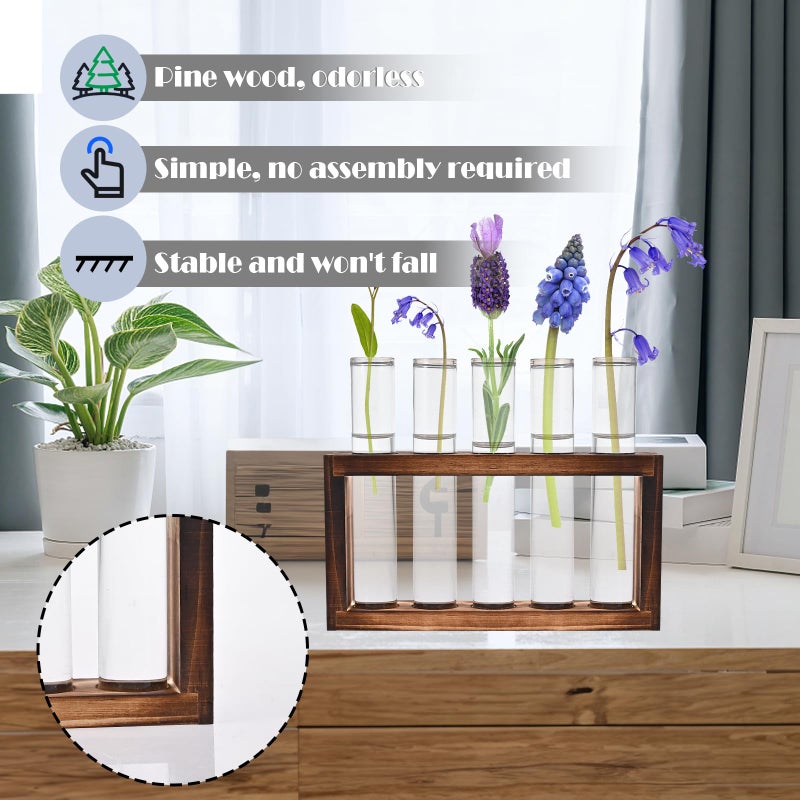 Tigvio Desktop Glass Plant Propagation Station with 5 Test Tubes in Wooden Stand - Hydroponic Plants Cutting Office Home Decoration and Garden Decor Terrarium - Image 5